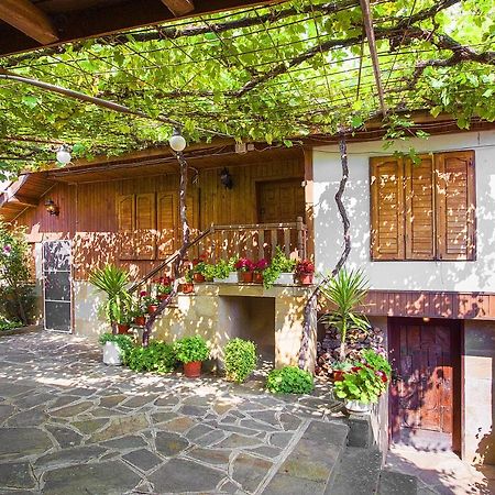 Хаджикольовата Къща Villa Medven Dış mekan fotoğraf