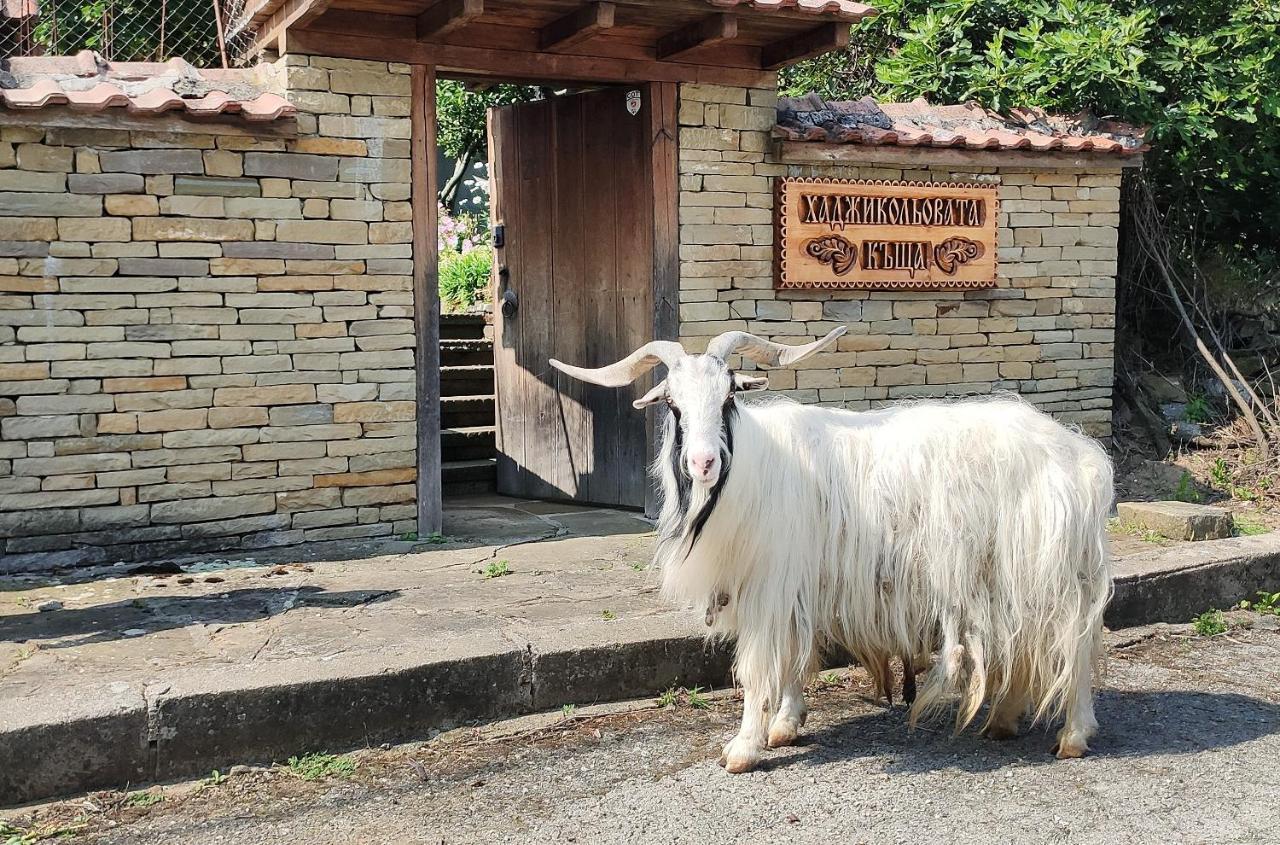 Хаджикольовата Къща Villa Medven Dış mekan fotoğraf