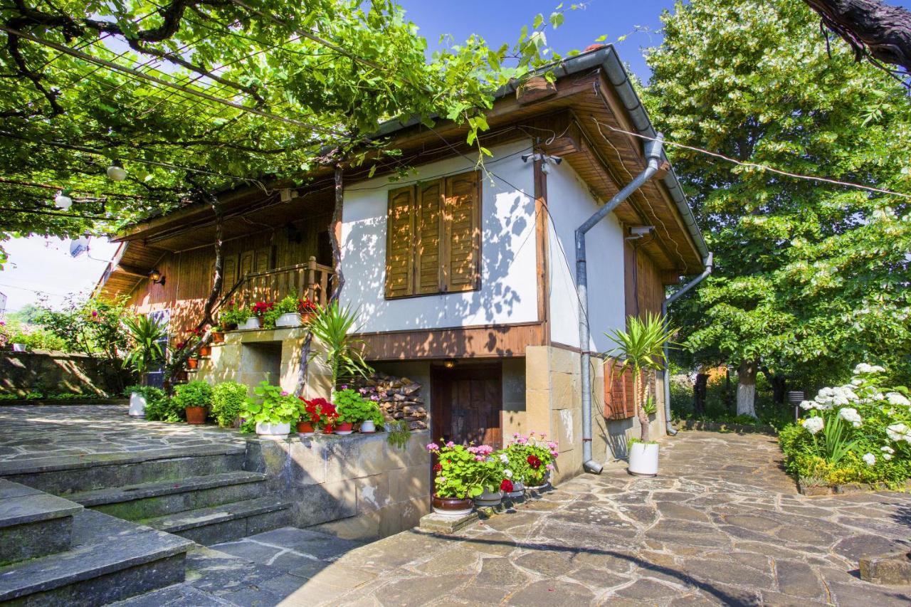 Хаджикольовата Къща Villa Medven Dış mekan fotoğraf