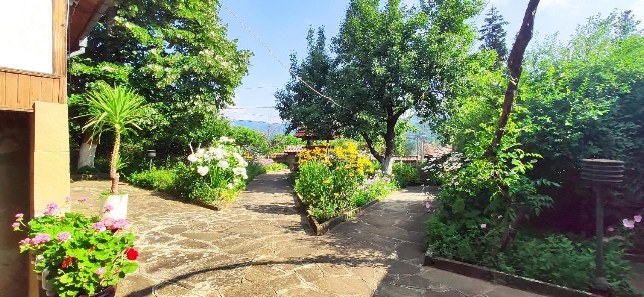 Хаджикольовата Къща Villa Medven Dış mekan fotoğraf
