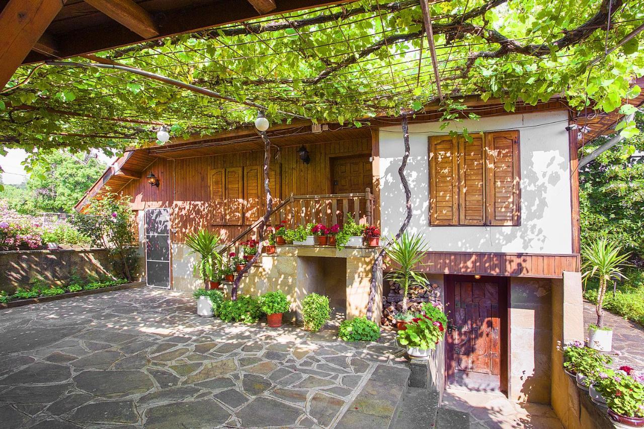 Хаджикольовата Къща Villa Medven Dış mekan fotoğraf